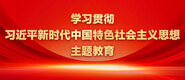 正能量艹逼好爽视频学习贯彻习近平新时代中国特色社会主义思想主题教育_fororder_ad-371X160(2)